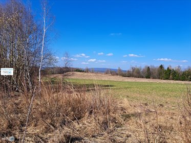 działka na sprzedaż 5974m2 działka Łagów, Sędek