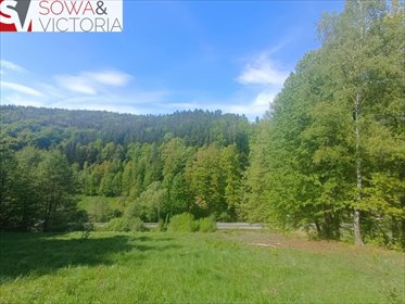 Działka 8 830 m² z MPZP i widokami w Michałkowej działka Michałkowa