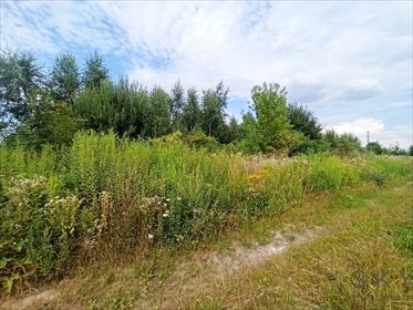 Działka budowlana na sprzedaż Małuszów, Jaśminowa 5 130m2 Foto 4