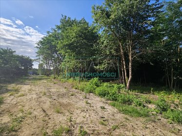 działka na sprzedaż 1000m2 działka Musuły