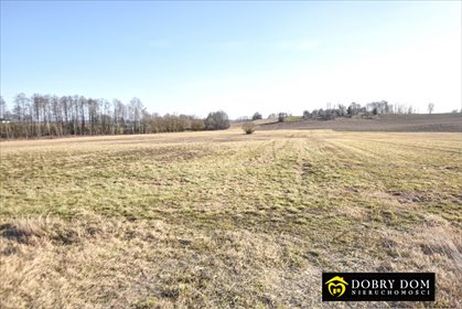 Działka inwestycyjna 40 367 m² przy S8, gotowa pod biznes! polecam! działka Pajewo
