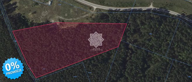 Działka leśna na sprzedaż Kuczek 14 696m2 Foto 4
