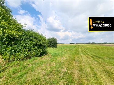 działka na sprzedaż 8600m2 działka Lipa