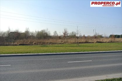 działka na sprzedaż 4000m2 działka Kielce, Niewachlów Pierwszy, Lisia