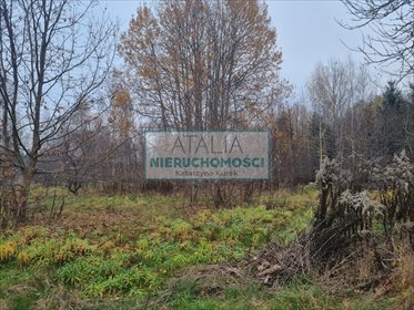 Polecam działkę 1500m² w cichej okolicy z MPZP i mediami działka Książenice