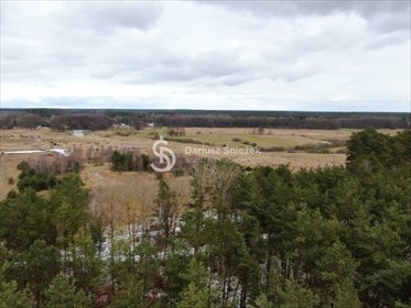 działka na sprzedaż 3000m2 działka Niewiadowo