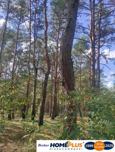 działka na sprzedaż 1998m2 działka Radzymin, Rejentówka