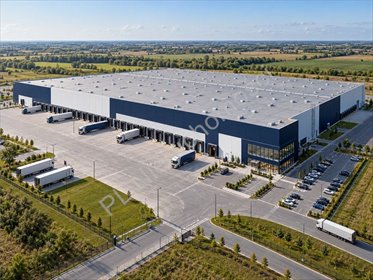 Działka inwestycyjna 55 259 m² - media, asfalt, bez ograniczeń działka Święcice