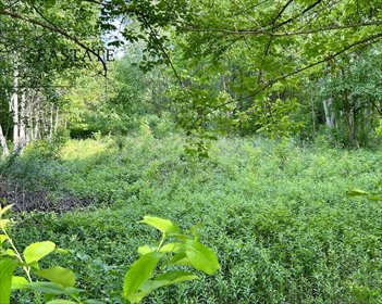 działka na sprzedaż 984m2 działka Góra Kalwaria, Marianki, Walewicka
