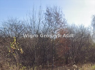 działka na sprzedaż 1000m2 działka Krupia Wólka