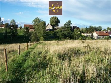 Działka inna na sprzedaż Rogale 24 500m2 Foto 4