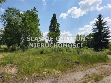 Działka budowlana na sprzedaż Dąbrowa Górnicza, Zielona, Wiejska 21 319m2 Foto 3