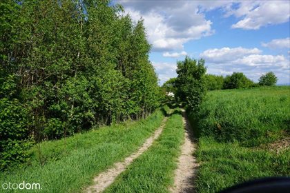 Działka rolna na sprzedaż Tomaszowice, ul. Podskalany 1 600m2 Foto 4