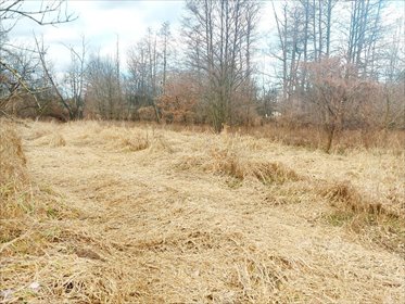 Działka budowlana na sprzedaż Milanówek 9 150m2 Foto 5