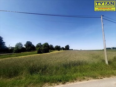 działka na sprzedaż 19000m2 działka Mały Płock