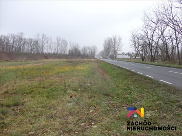 Działka budowlana 9487 m² z warunkami zabudowy, media działka Nowy Zagór