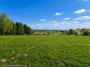 działka na sprzedaż 5398m2 działka Garliczka