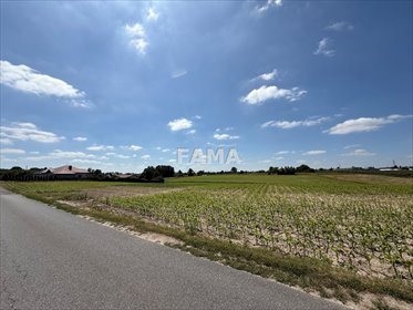 Działka 1000 m² z warunkami zabudowy, blisko natury działka Szpetal Górny