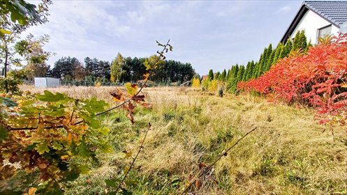 działka na sprzedaż 1246m2 działka Nieżywięć, Spokojna
