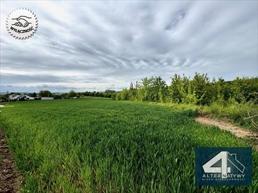 działka na sprzedaż 5600m2 działka Miroszów, Miroszów