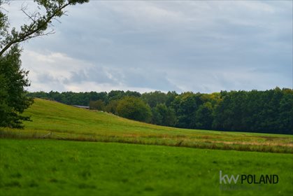 Działka budowlana na sprzedaż Łaziska Górne, Brada, Kolejowa 3 934m2 Foto 4