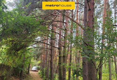 działka na sprzedaż 1421m2 działka Borki, Siwkowa