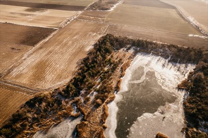 Atrakcyjne grunty rolne 3,52 ha w Lenartowicach działka Lenartowice