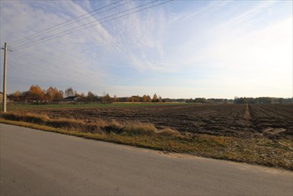 Działka 65 ar z możliwością budowy i rolnictwa. działka Sobolew-Kolonia