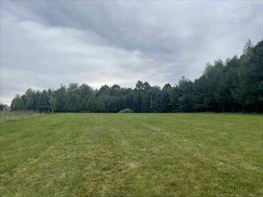 działka na sprzedaż 9100m2 działka Zborowice