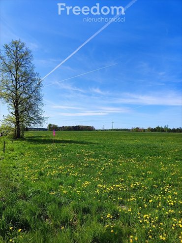działka na sprzedaż 1224m2 działka Dobrzyniówka