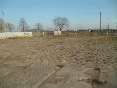 lokal użytkowy na wynajem 3000m2 lokal użytkowy Grębocin