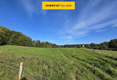 działka na sprzedaż 41100m2 działka Borzynowo