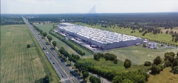 Magazyn 7 000 m² pod Warszawą (blisko trasy E7) magazyn Łomna-Las