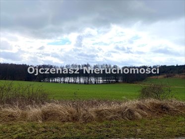 Urokliwa działka nad jeziorem z widokiem na Bysławek działka Minikowo