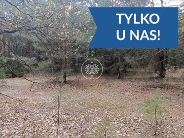 Działki rekreacyjne z prądem, lasem i blisko rzeki działka Dzbądz