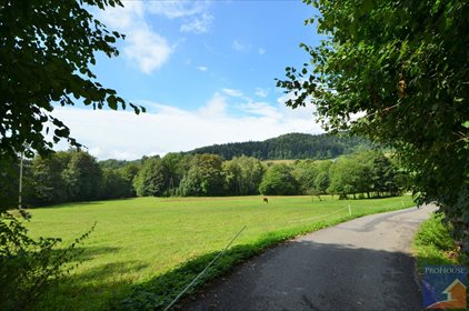 działka na sprzedaż 1342m2 działka Mordarka