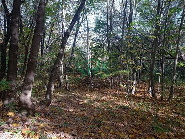 działka na sprzedaż 973m2 działka Sosnowiec