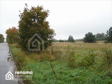 działka na sprzedaż 4753m2 działka Dąbrowa