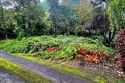 działka na sprzedaż 828m2 działka Dąbrowa Górnicza