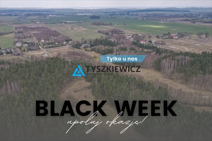 działka na sprzedaż 7500m2 działka Gołębiewo Wielkie, Maciejki