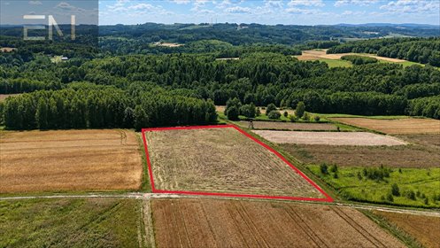 Do sprzedania działka 0,48 ha przy lesie w Nawsie działka Nawsie