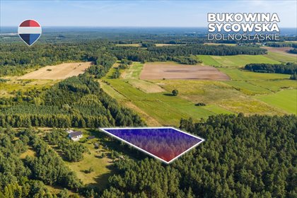 Działka leśna 8 100 m² w Bukowinie Sycowskiej - zapraszam działka Bukowina Sycowska