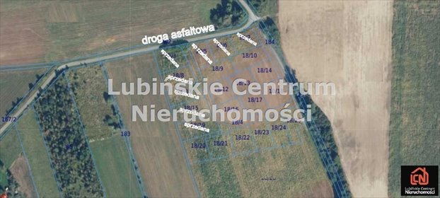 Polecam działkę 10a w Gorzelinie - cicha okolica, asfaltowy dojazd działka Gorzelin