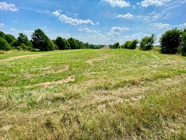 Działka inna na sprzedaż Łódź, Bałuty, Nowe Moskule, Strykowska 3 004m2 Foto 3