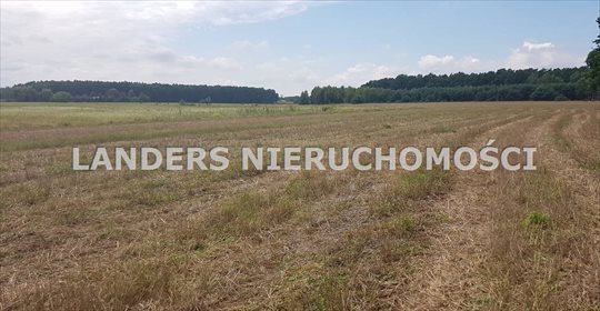 Działka inna na sprzedaż Charbice Dolne 8 000m2 Foto 6