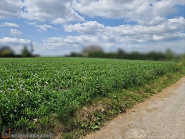 działka na sprzedaż 919m2 działka Dojazdów