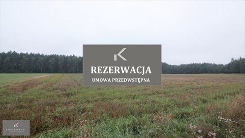 działka na sprzedaż 1000m2 działka Namysłów
