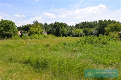 działka na sprzedaż 4000m2 działka Rzeszów, Staroniwa