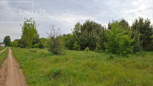 działka na sprzedaż 16445m2 działka Myrcha