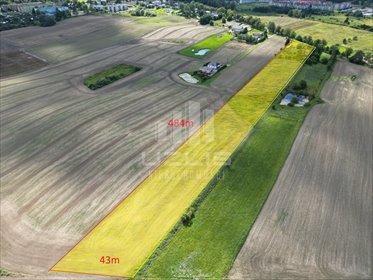 Magazyn na sprzedaż Skarszewy, Kamierowska 565m2 Foto 4